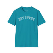 Devotree Unisex Softstyle T-Shirt | Casual Comfort with Trendy Text | Perfect for Gifts & Everyday Wear