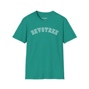 Devotree Unisex Softstyle T-Shirt | Casual Comfort with Trendy Text | Perfect for Gifts & Everyday Wear